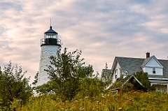 Wildflowers Surround the Grounds of Dice Head Lighthouse